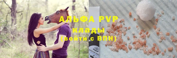 PSILOCYBIN Покачи
