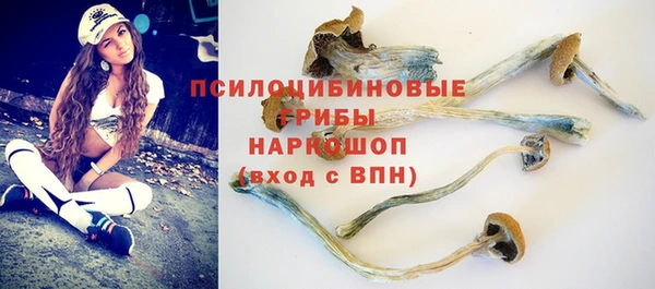 молекула духа Абаза