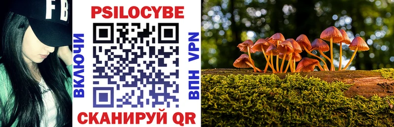 Галлюциногенные грибы Cubensis  Сертолово 